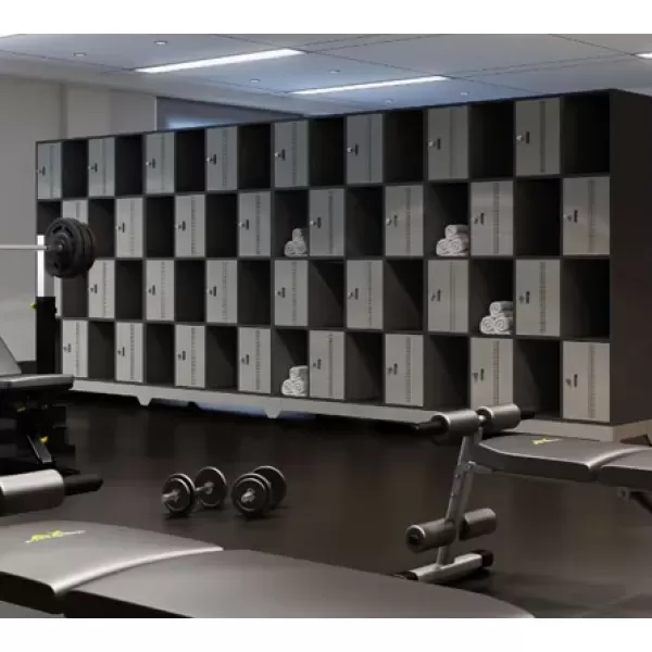 Armário Roupeiro Locker para vestiário corpo em madeira, porta em aço